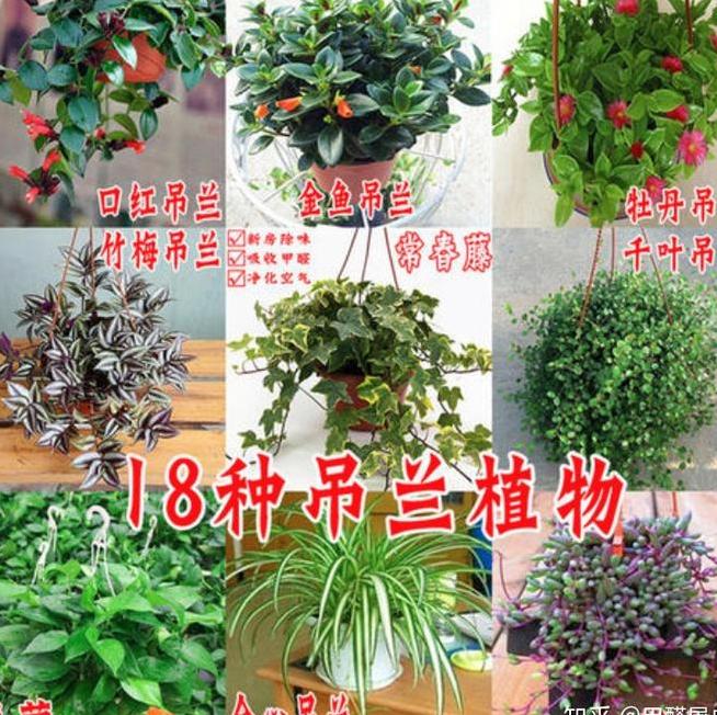刚装修好的新房装天然气流程？-第1张图片